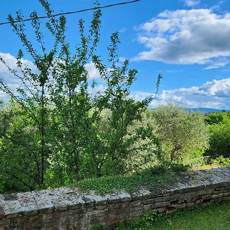 Al Glicine Di Sant'abondio * Siena